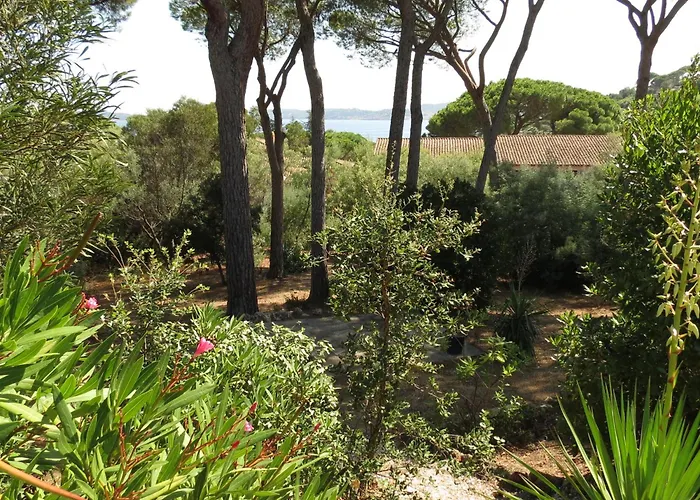 Maison 4 Pieces Vue Mer, 6 Pers, Animaux Ok, Piscines - Fr-1-780-13 생트막시메